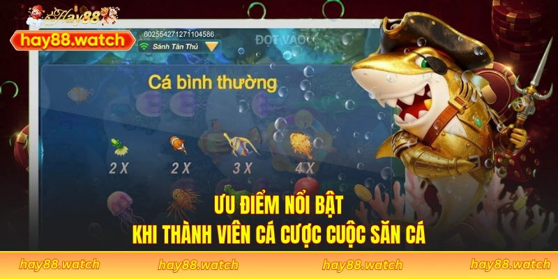 Ưu điểm nổi bật khi thành viên cá cược cuộc săn cá